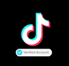 verified tiktok business account