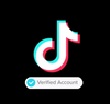 Load image into Gallery viewer, verified tiktok business account